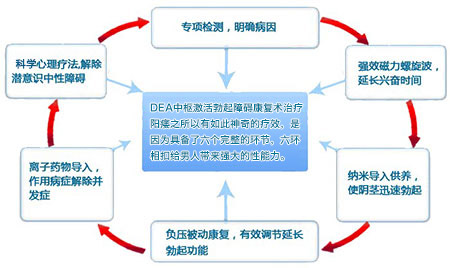 “DEA中枢激活勃起障碍康复术”的疗法机理